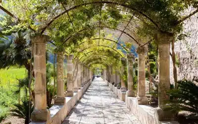 Visit the Alfabia Gardens in Mallorca: opening hours and admission tickets