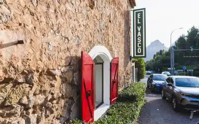 Ruta de senderismo en la Serra de Tramuntana y comida en El Vasco