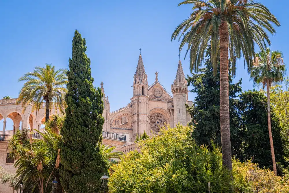 qué hacer en palma de mallorca