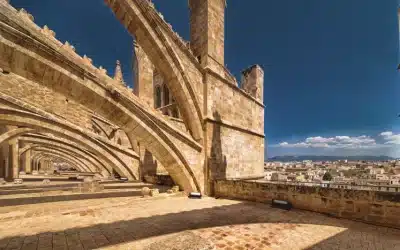 ¿Cómo visitar las terrazas de la Catedral de Mallorca?