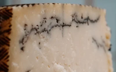 Tabla de quesos en Palma: una selección que cambia cada mes