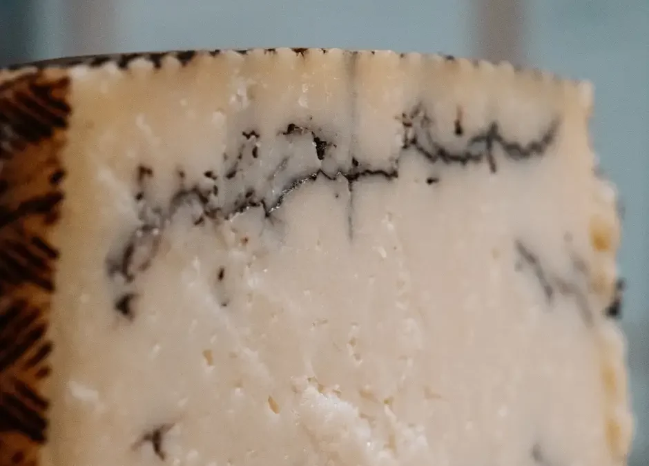 Tabla de quesos en Palma: una selección que cambia cada mes